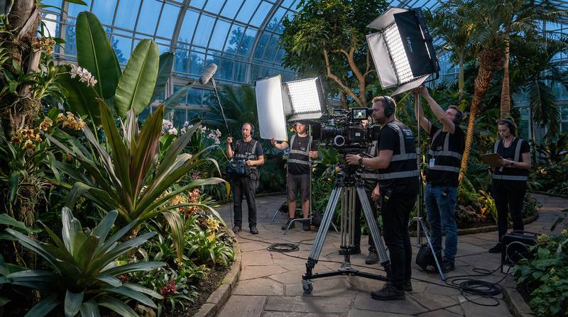 蜜桃传媒植物视频 - 珍稀植物纪录片